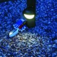 Thumbnail of Image of Product Xenon Wall Light Click to Advance